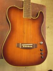 Cooder by Takamine TCS-550s