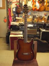 Cooder by Takamine TCS-550s_2