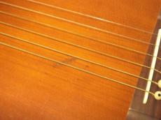 Cooder by Takamine TCS-550s_5