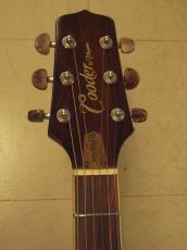 Cooder by Takamine TCS-550s_6