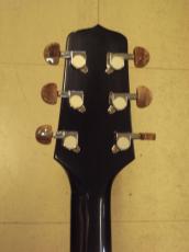 Cooder by Takamine TCS-550s_7