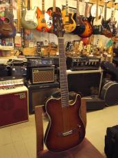 Cooder by Takamine TCS-550s_9