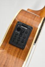 DCT FR-205KE 【ニューヨーカータイプ】【オールコアボディ】【エレアコ仕様】_9