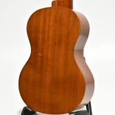 Famous FS-6cst 【ソプラノ】【マホガニーボディ/トップ単板】【日本製】_2