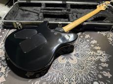 PEAVEY Peavey Wolfgang Standard Custom Shop 1'st / Build by John Douglas_4