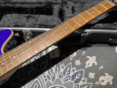 PEAVEY Peavey Wolfgang Standard Custom Shop 1'st / Build by John Douglas_6