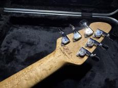 PEAVEY Peavey Wolfgang Standard Custom Shop 1'st / Build by John Douglas_9