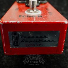 Pharaoh Amplifiers Echo Jr. VINTAGE DELAY_4