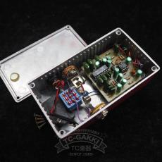 Pharaoh Amplifiers Echo Jr. VINTAGE DELAY_6