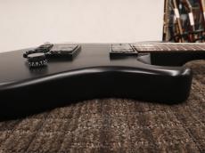 Paul Reed Smith [PRS] SE Billy Martin Signature_12