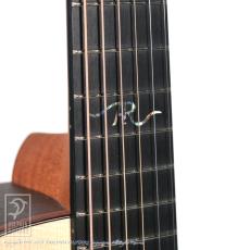 Dowina AMBRD-GAC-SWS_12