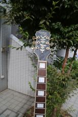 Epiphone EMPEROR_3