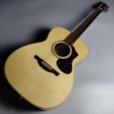 HISTORY(ヒストリー)、アコースティックギター/エレアコ、新品