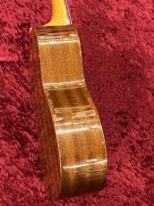 ILIKAI  IL-CON-4MGG【マホガニー単板】【コンサートサイズ】【チューナー&教則本プレゼント】_6