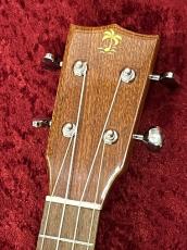 ILIKAI  IL-CON-4MGG【マホガニー単板】【コンサートサイズ】【チューナー&教則本プレゼント】_7