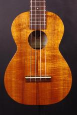 Kamaka HF-2