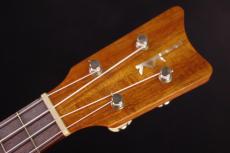 Kamaka HF-2_4