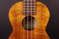 Kamaka HF-2_8