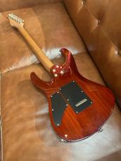 Suhr 【最高グレードモデル】Suhr Modern Custom Spalted Natural Burst【美品中古】【3.48kg】_7