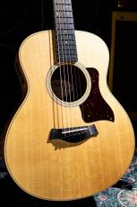 Taylor GS Mini-e / 2021