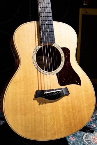 Taylor GS Mini-e / 2021