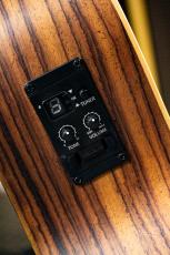 Taylor GS Mini-e / 2021_2