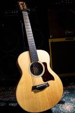 Taylor GS Mini-e / 2021_3