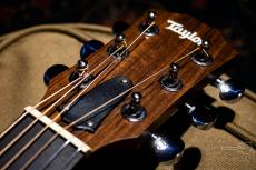 Taylor GS Mini-e / 2021_4
