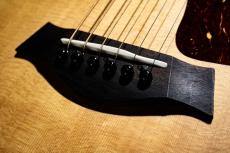 Taylor GS Mini-e / 2021_6