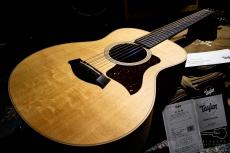 Taylor GS Mini-e / 2021_9