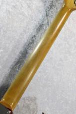g7 Special 【サマーセール】g7-JM Alder/R Perfect Aged Candy Apple Red【3.60kg】【パーフェクトエイジド】_8