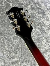 Gretsch 【ボーナスセール】G6119-1962HT PE  -Tennessee Rose -【2013'USED】_4
