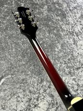 Gretsch 【ボーナスセール】G6119-1962HT PE  -Tennessee Rose -【2013'USED】_5