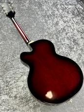 Gretsch 【ボーナスセール】G6119-1962HT PE  -Tennessee Rose -【2013'USED】_6