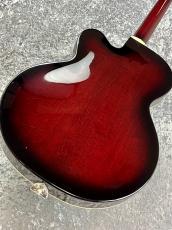 Gretsch 【ボーナスセール】G6119-1962HT PE  -Tennessee Rose -【2013'USED】_10