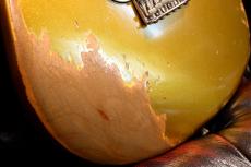 Sugi Kurosawa Limited SGZ R SSS ALD/HM G02193 ~ Fire Mist Gold  ~ [約3.39㎏]_3
