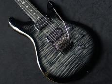 Paul Reed Smith [PRS] SE Custom 24 "Floyd" Ebony FB Charcoal Burst 2025_3