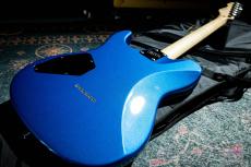 Edwards E-THROBBER_8