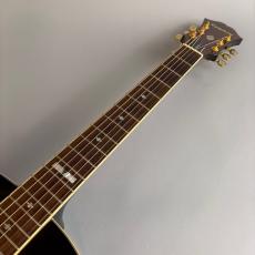 Epiphone AJ18 WILD TURKEY_3