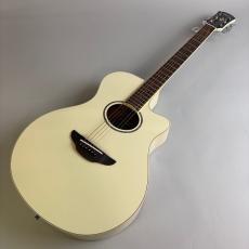 YAMAHA APX600_2