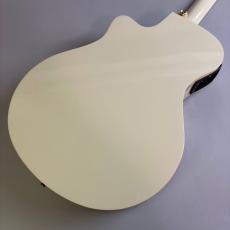 YAMAHA APX600_5