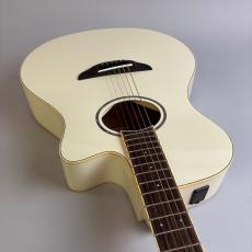 YAMAHA APX600_9