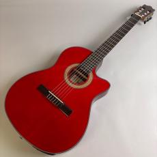 Ibanez GA30TCE_2