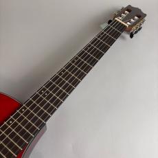 Ibanez GA30TCE_3