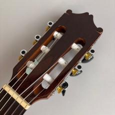 Ibanez GA30TCE_4