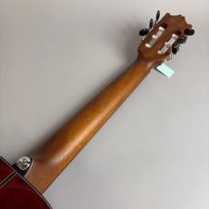 Ibanez GA30TCE_7