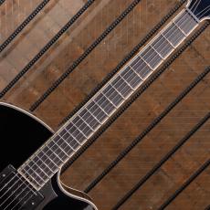 Victor Baker Guitars Model 17 Full-hollow Black High Gloss Topcoat S/N:762_7