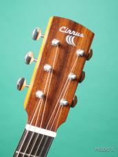 Cirrus Guitar (M.J.Franks) CD-18_3