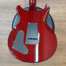 Paul Reed Smith [PRS] SE Santana_4