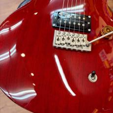 Paul Reed Smith [PRS] SE Santana_6